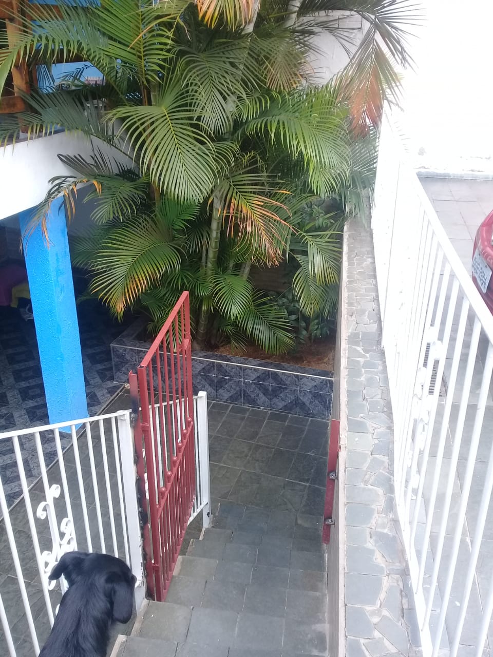 WhatsApp Image 2020-09-17 em 12.57.07 (1)