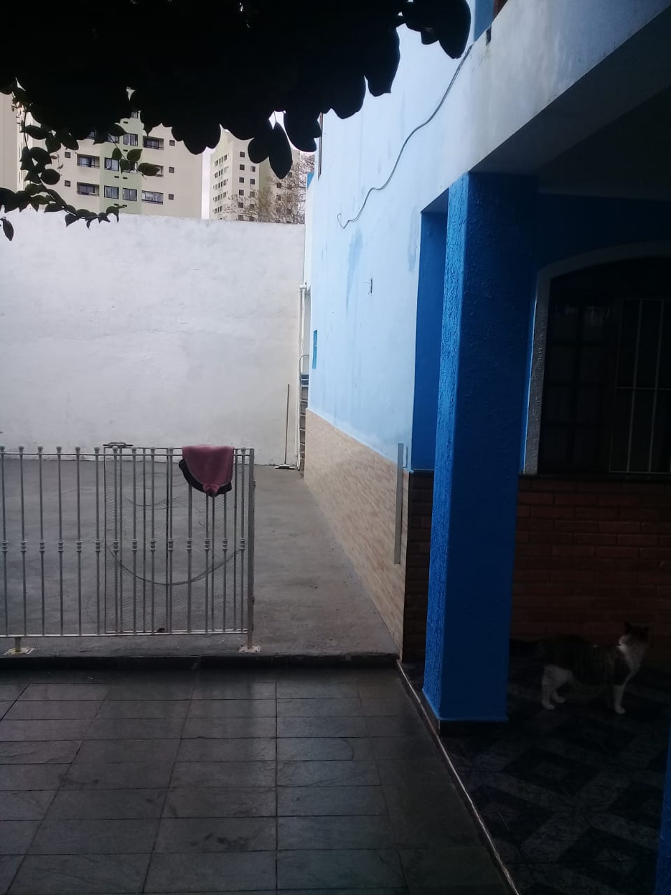 WhatsApp Image 2020-09-17 em 12.57.08 (3)