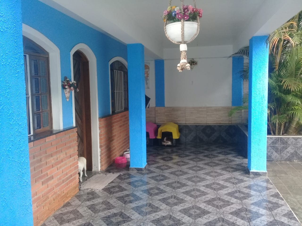 WhatsApp Image 2020-09-17 em 12.57.09 (1)